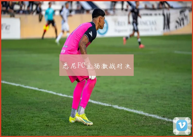 悉尼FC主场激战对决