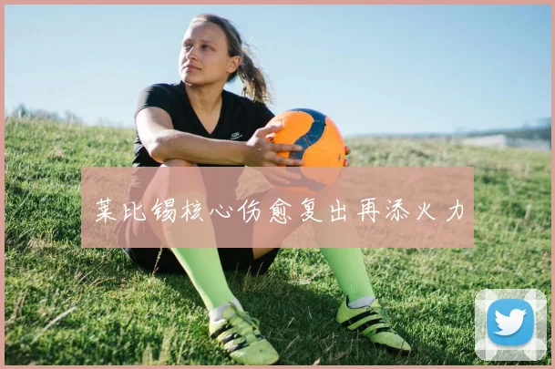 莱比锡核心伤愈复出再添火力