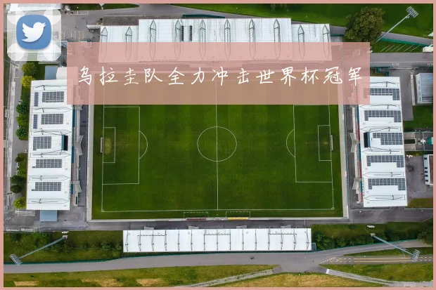 乌拉圭队全力冲击世界杯冠军