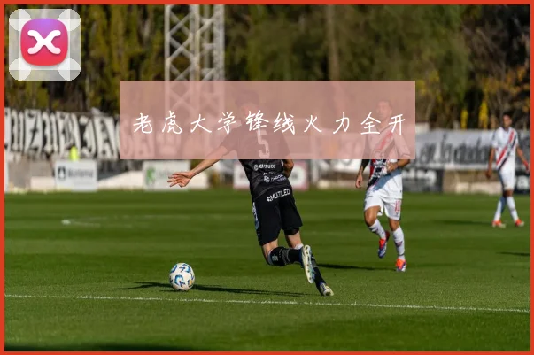 老虎大学锋线火力全开