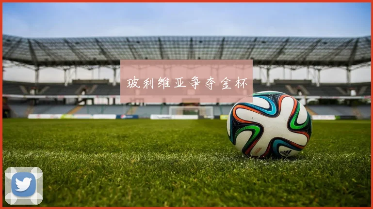 玻利维亚争夺金杯