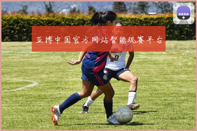 亚搏中国官方网站智能观赛平台