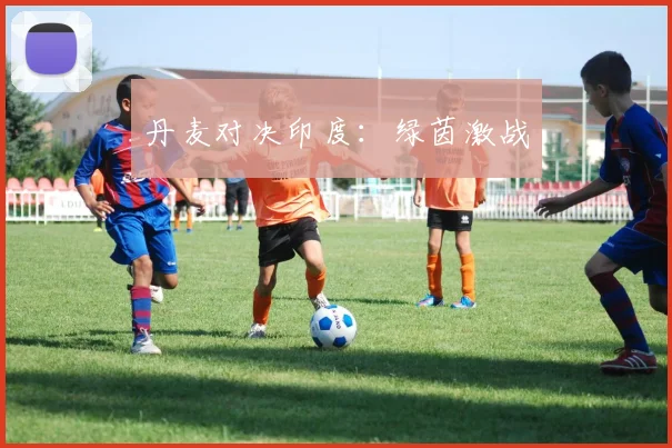 丹麦对决印度：绿茵激战