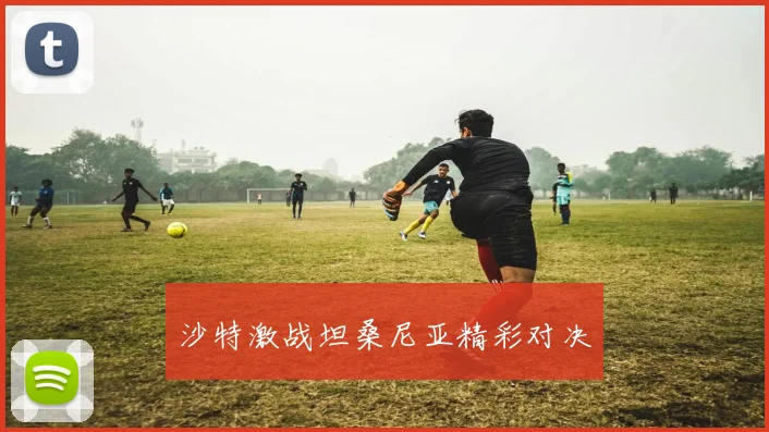 沙特激战坦桑尼亚精彩对决