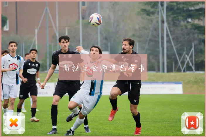 乌拉圭会师津巴布韦
