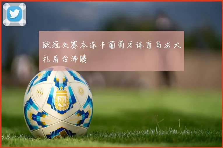 欧冠决赛本菲卡葡萄牙体育乌龙大礼看台沸腾