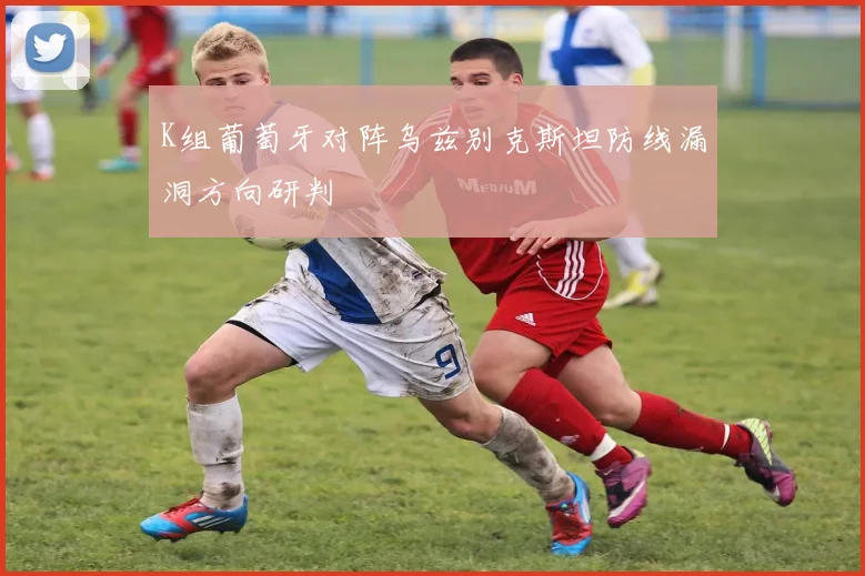 K组葡萄牙对阵乌兹别克斯坦防线漏洞方向研判