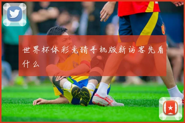 世界杯体彩竞猜手机版新访客先看什么