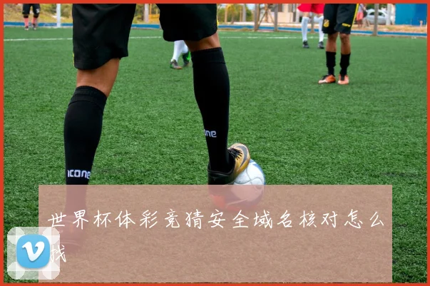 世界杯体彩竞猜安全域名核对怎么找
